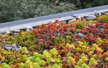 the cost of Stockheath green roof installation